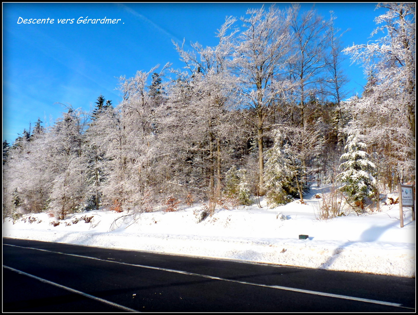 Vosges 