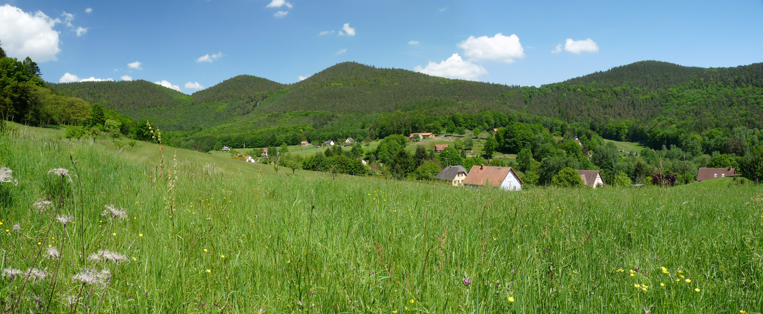 Vosges du Nord