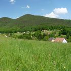 Vosges du Nord