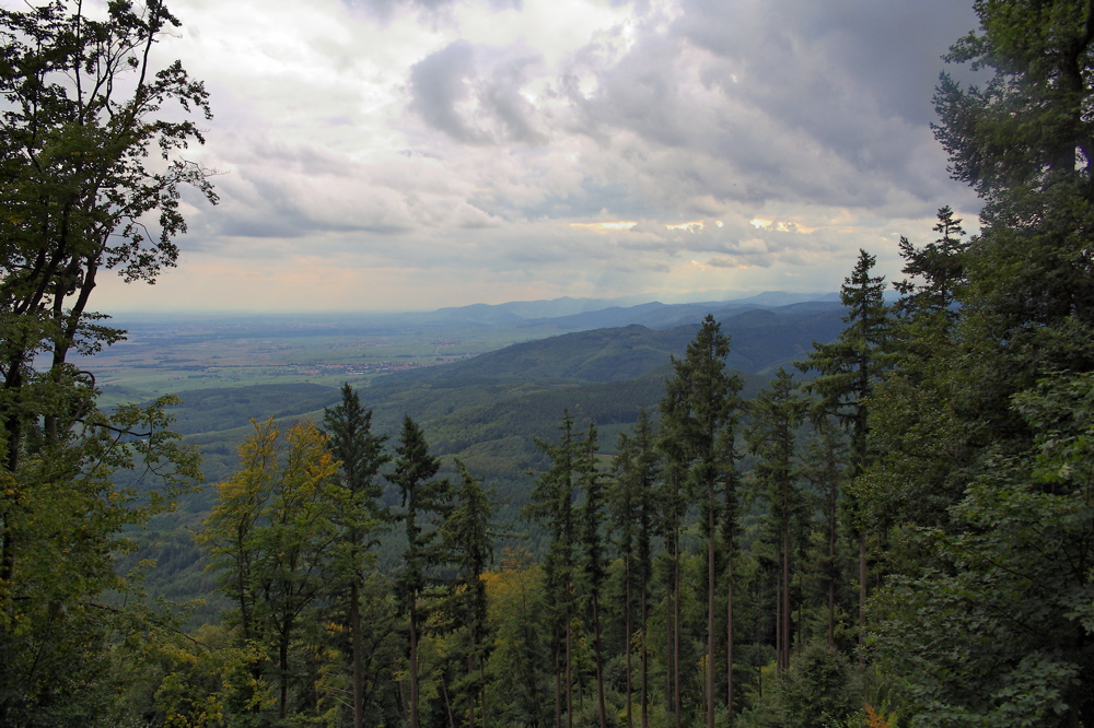 Vosges Nuageuses