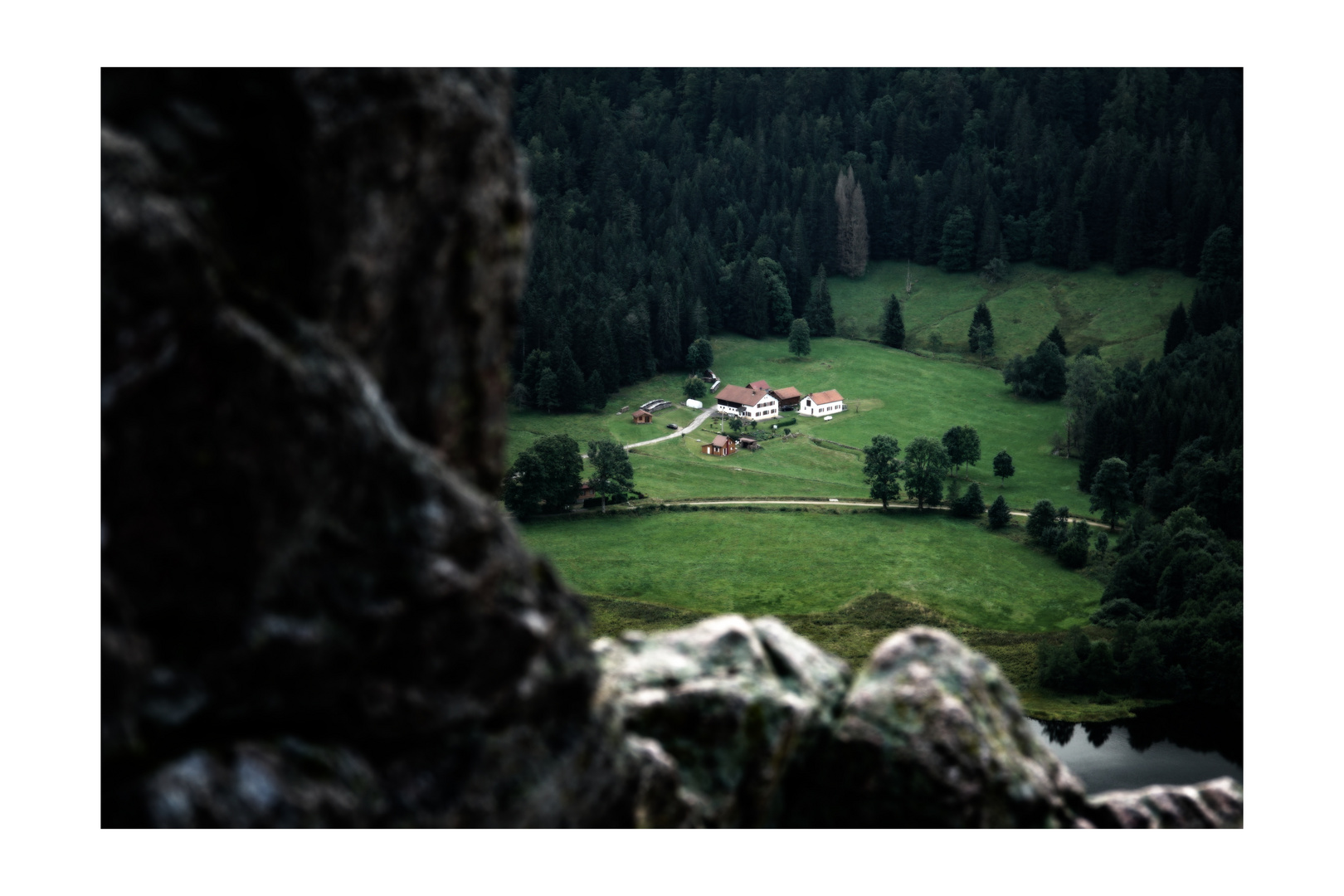 Vosges_03