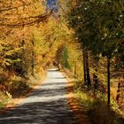 "Voûte d'Automne" à Isola 2000 (Alpes Maritimes)