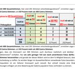 Voting- Rückblick  Seite 19 *******ZUM BLÄTTERN BITTE DIE LINKS VERWENDEN!*******