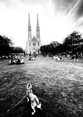 Votive Church in a relaxed summer