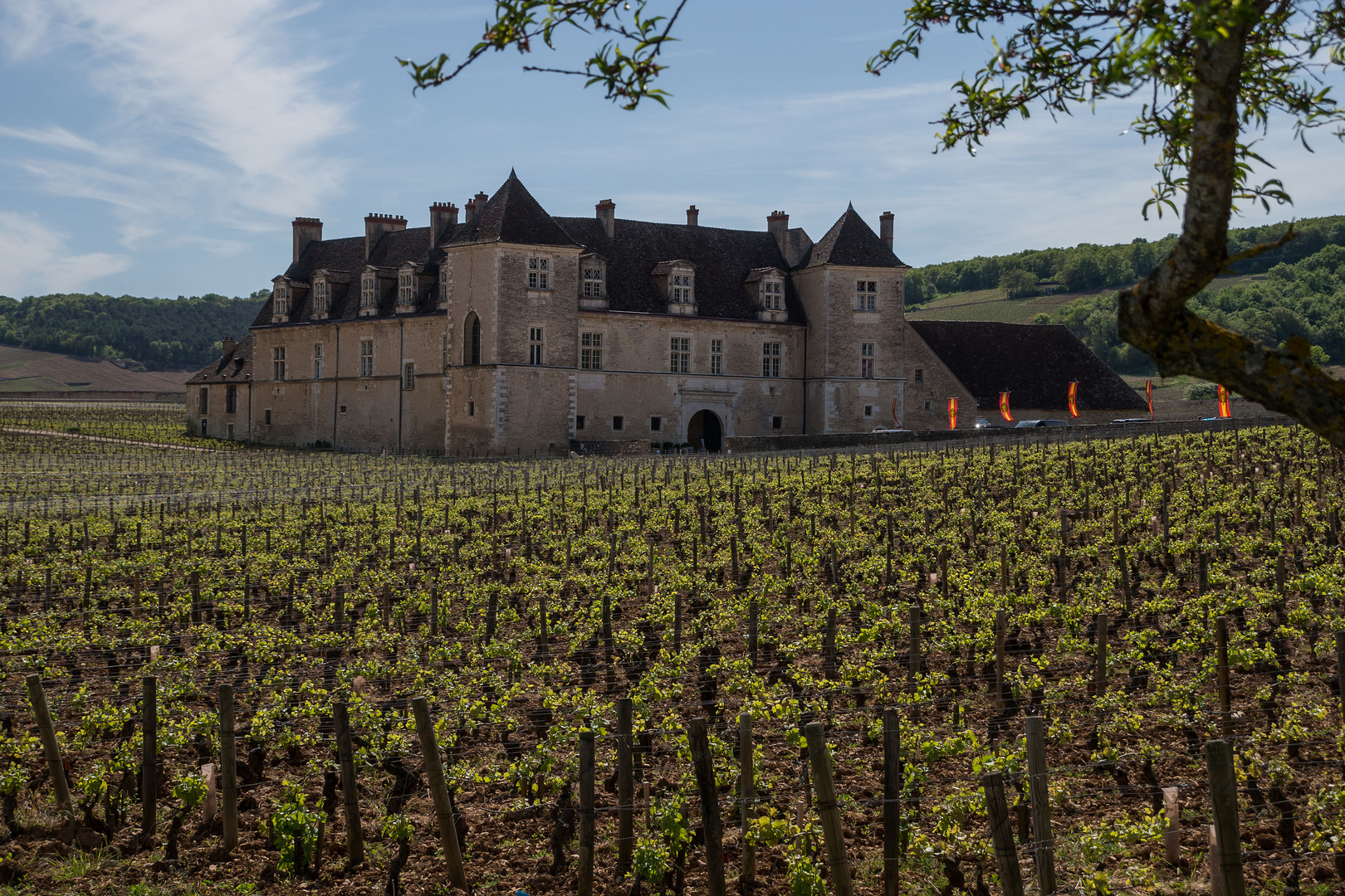 Vougeot