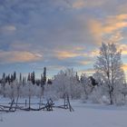 Vountisjärvi morgens