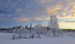 Vountisjärvi morgens