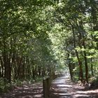 Vous prenez quel chemin ? A droite ou à gauche....