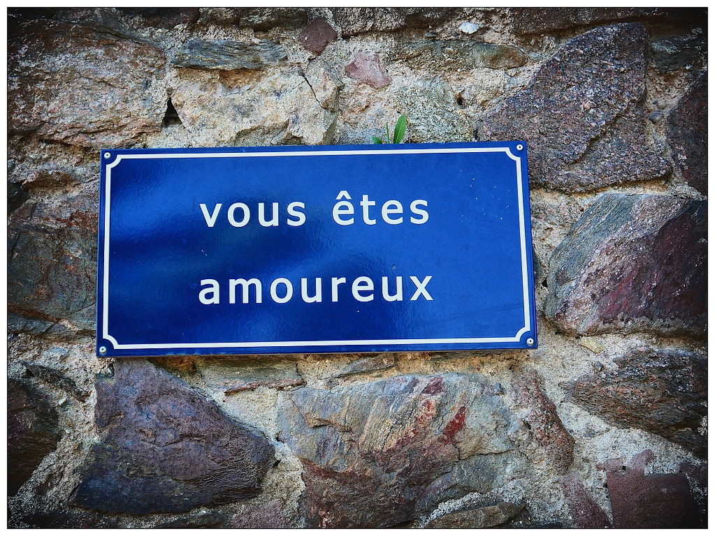 'vous êtes amoureux'