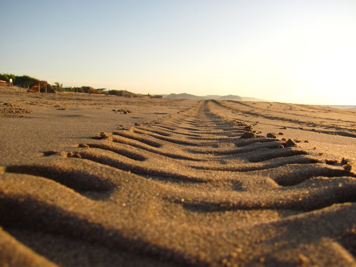 Voy abriendo caminos para dejarte Las cosas buenas que aprendo mientras camino mis calles