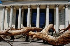 Voyage à Nantes - l'arbre géant
