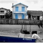 Voyage au Cap Ferret