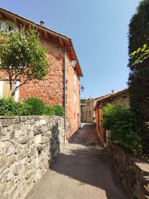 Voyage au pays de la lavande ....