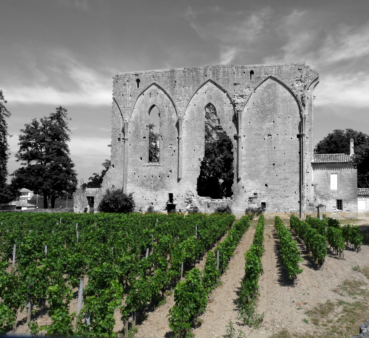 Voyage au pays du vin