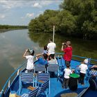 Voyage dans le delta du Danube