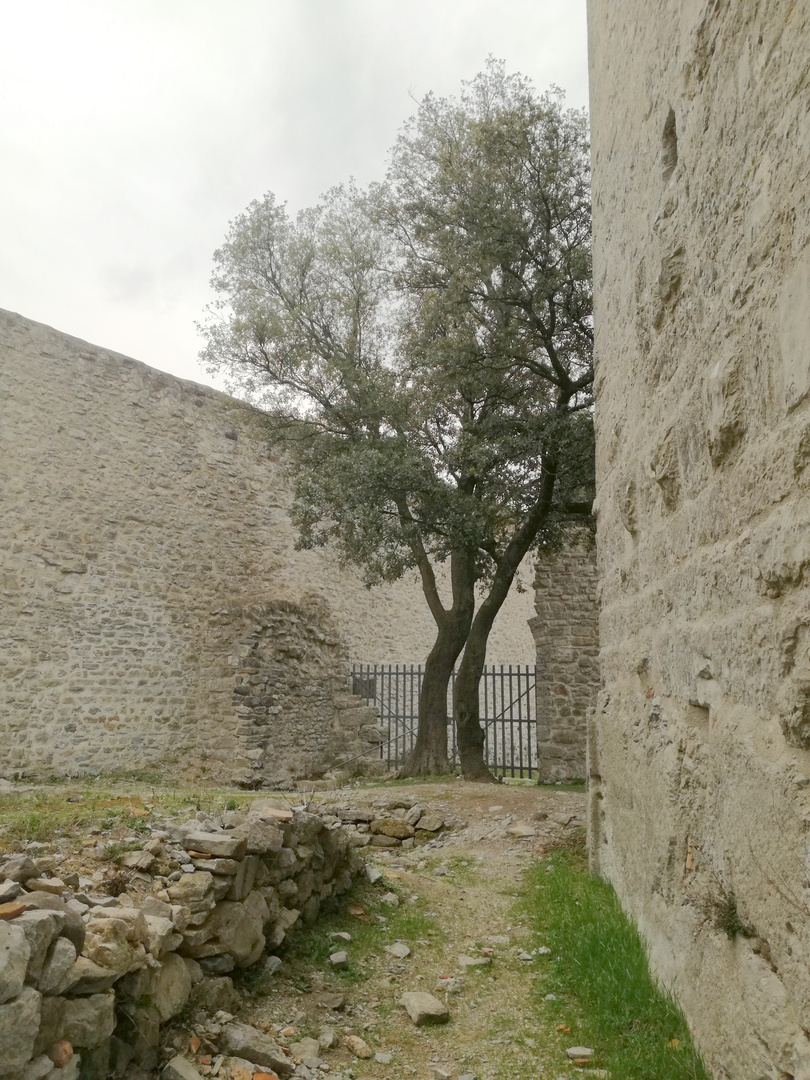 Voyage dans le temps ... Château de Tornac (Gard)