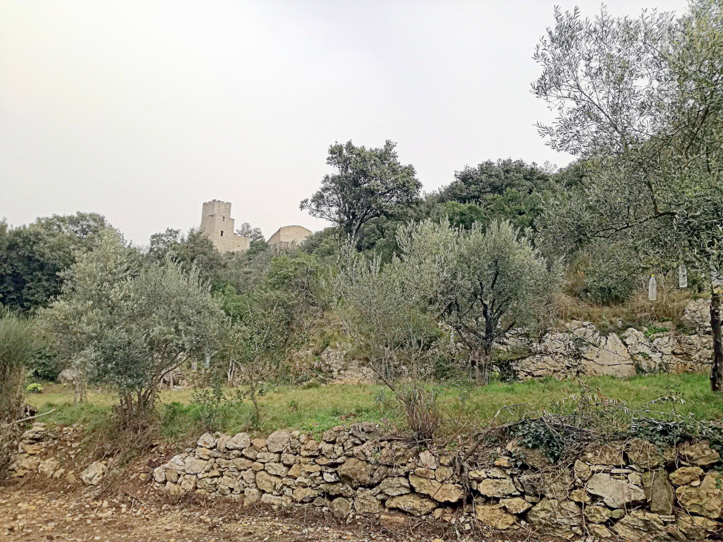 Voyage dans le temps ... Château de Tornac (Gard)