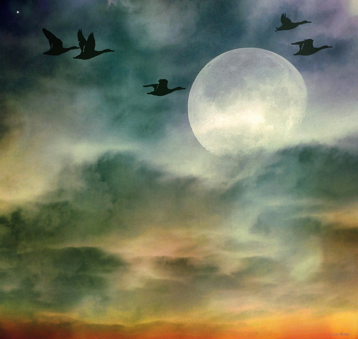 Voyage Heure photo et image nature emotions ciel Voyage Heure photo et image nature emotions ciel