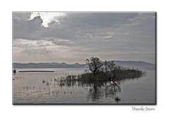 Vransko Jezero III