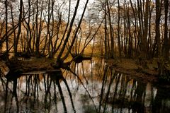 Vrelo Bosna Park 2