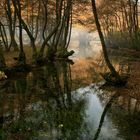 Vrelo Bosna Park