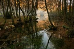 Vrelo Bosna Park