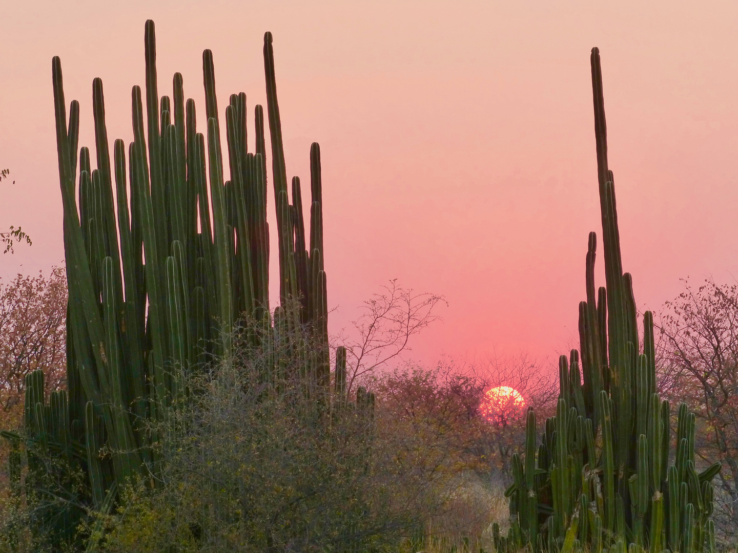 Vreugde Sonnenuntergang 