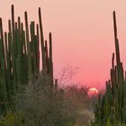 Vreugde Sonnenuntergang 