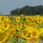 Vroum, vroum sur l'autoroute !