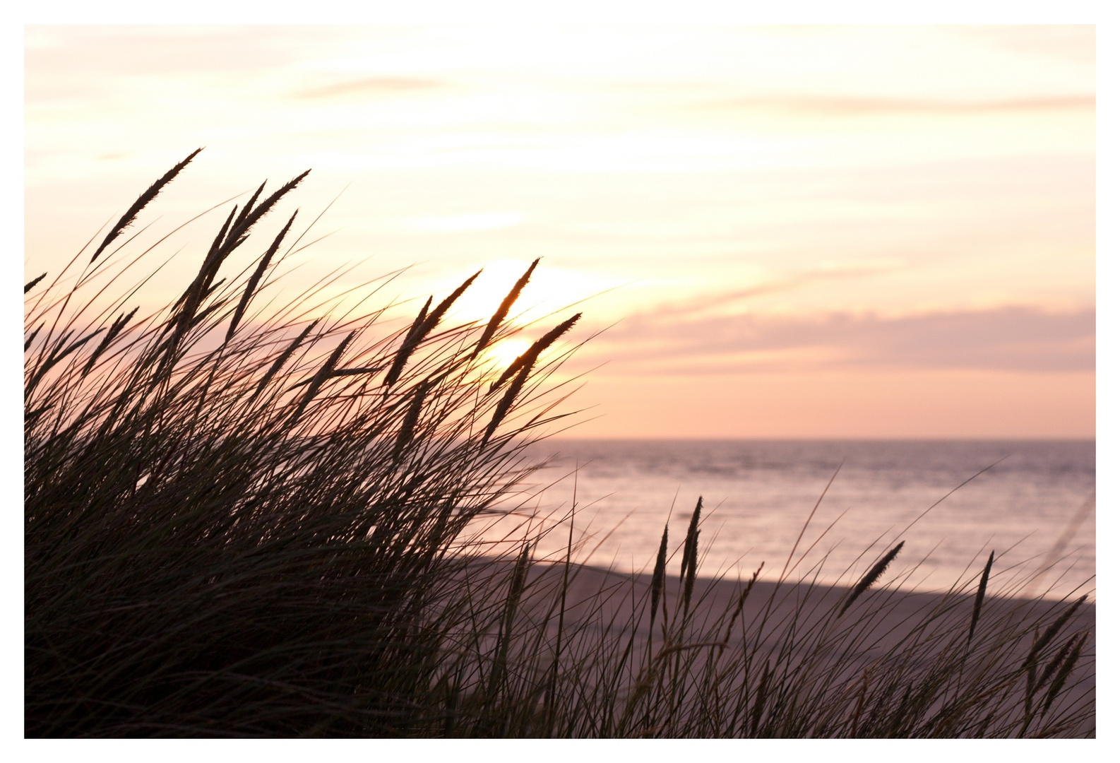 Vrouwenpolder Abendstimmung