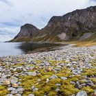 Værøy - Lofoten