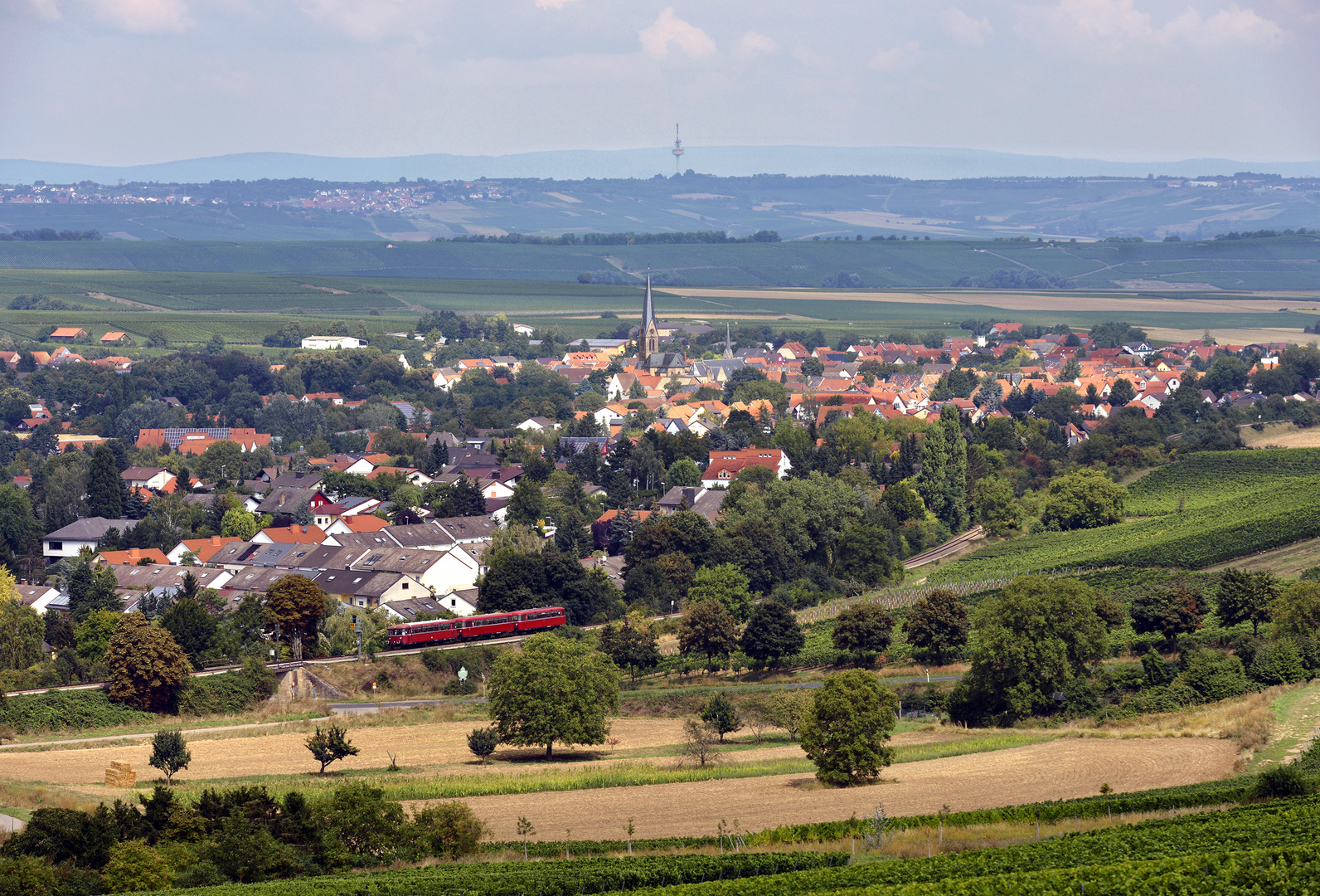 VT 98 in Rheinhessen