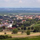 VT 98 in Rheinhessen