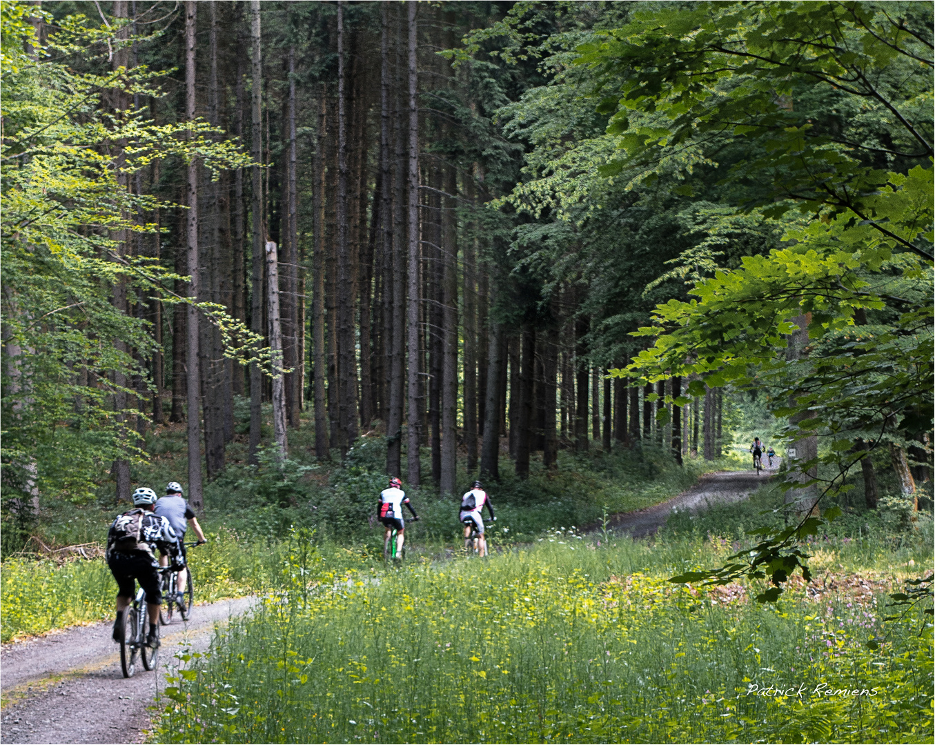 VTT en moselle