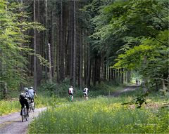 VTT en moselle