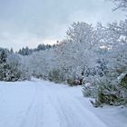 Vêtu d'un manteau blanc !