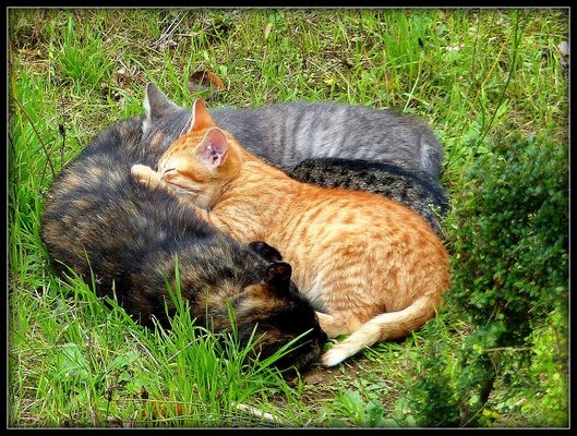 Vu de nos fenêtres - 1 - 