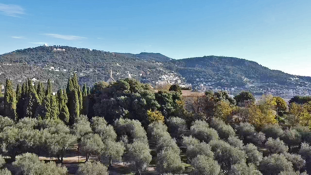 Vue aérienne du Parc des Arènes de Cimiez et son oliveraie