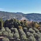 Vue aérienne du Parc des Arènes de Cimiez et son oliveraie