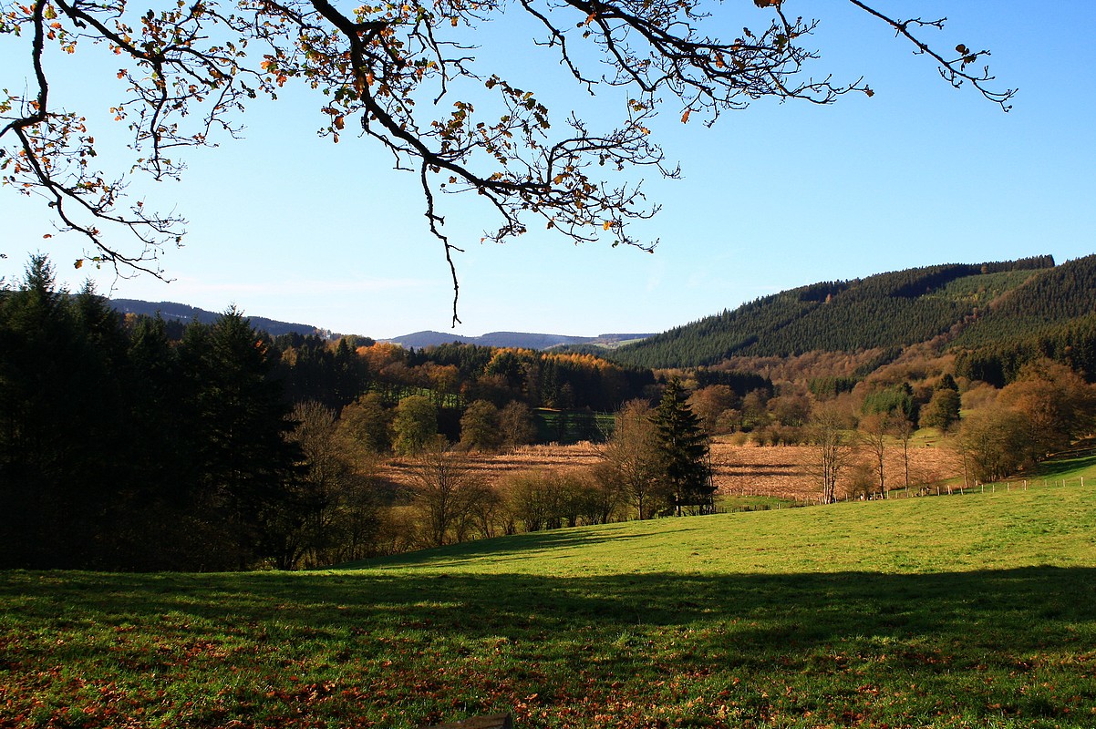 Vue ardennaise