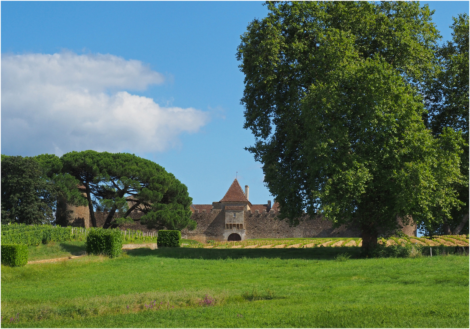 Vue arrière du Château d‘Yquem