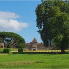 Vue arrière du Château d‘Yquem