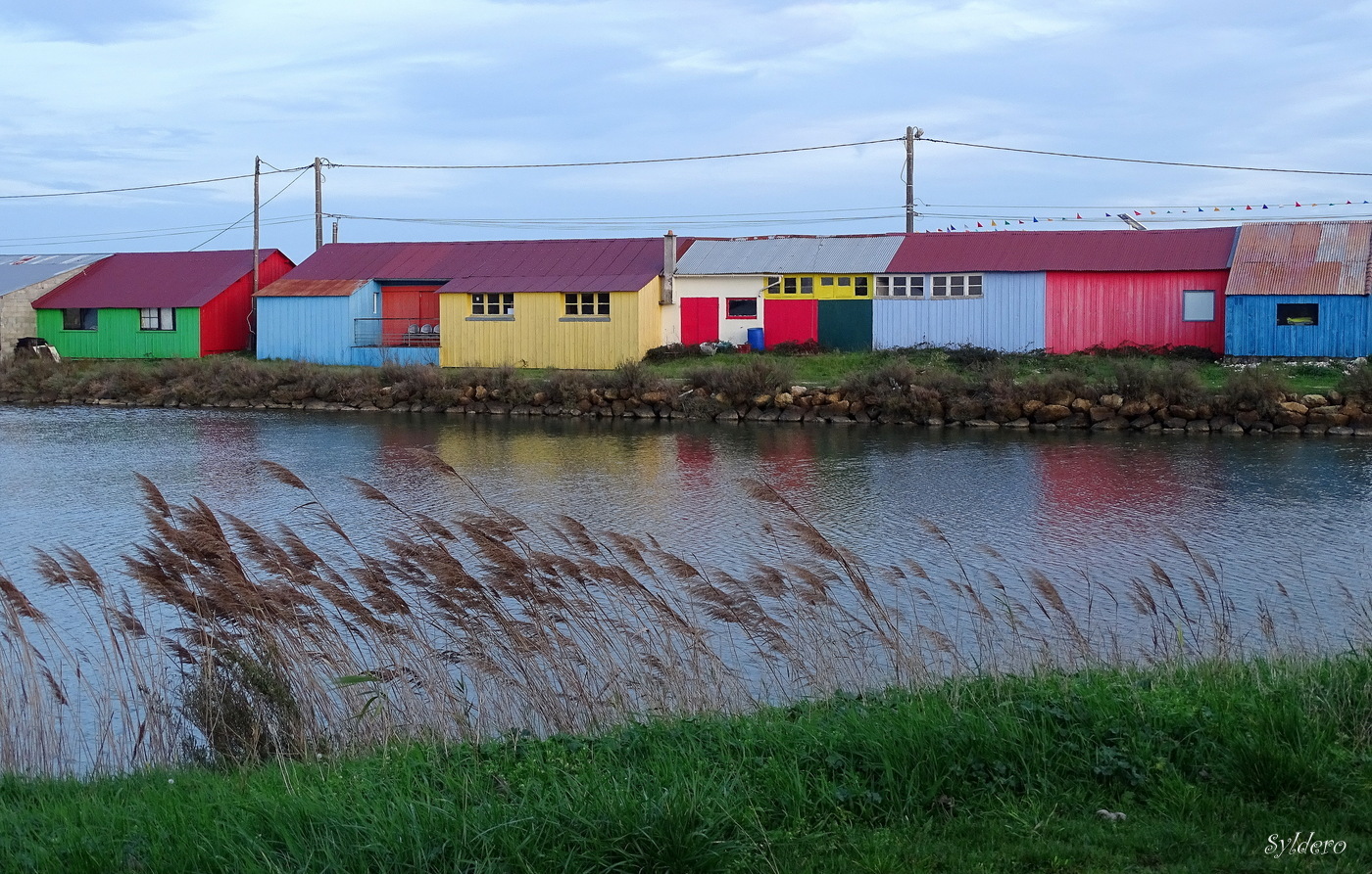 Vue arrière sur le port