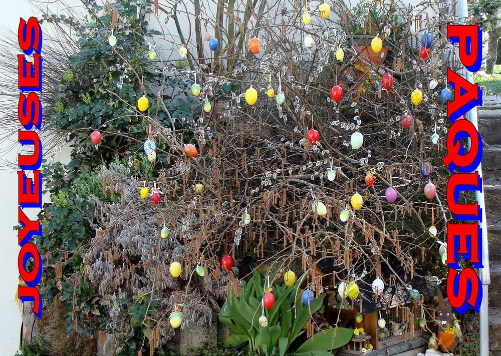 Vue dans un jardin à Bonfol (Jura)