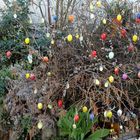 Vue dans un jardin à Bonfol (Jura)