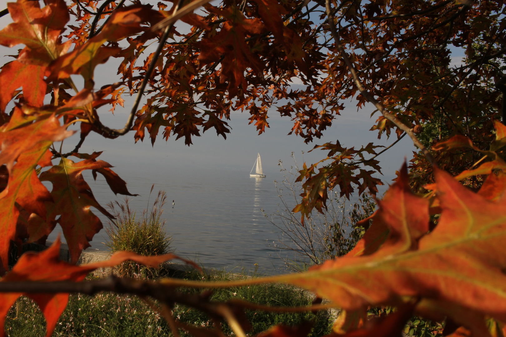 Vue d'automne sur le Lac Léman