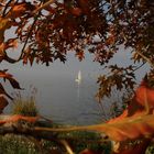 Vue d'automne sur le Lac Léman