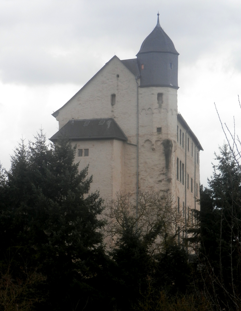 Vue de Burg Schadeck