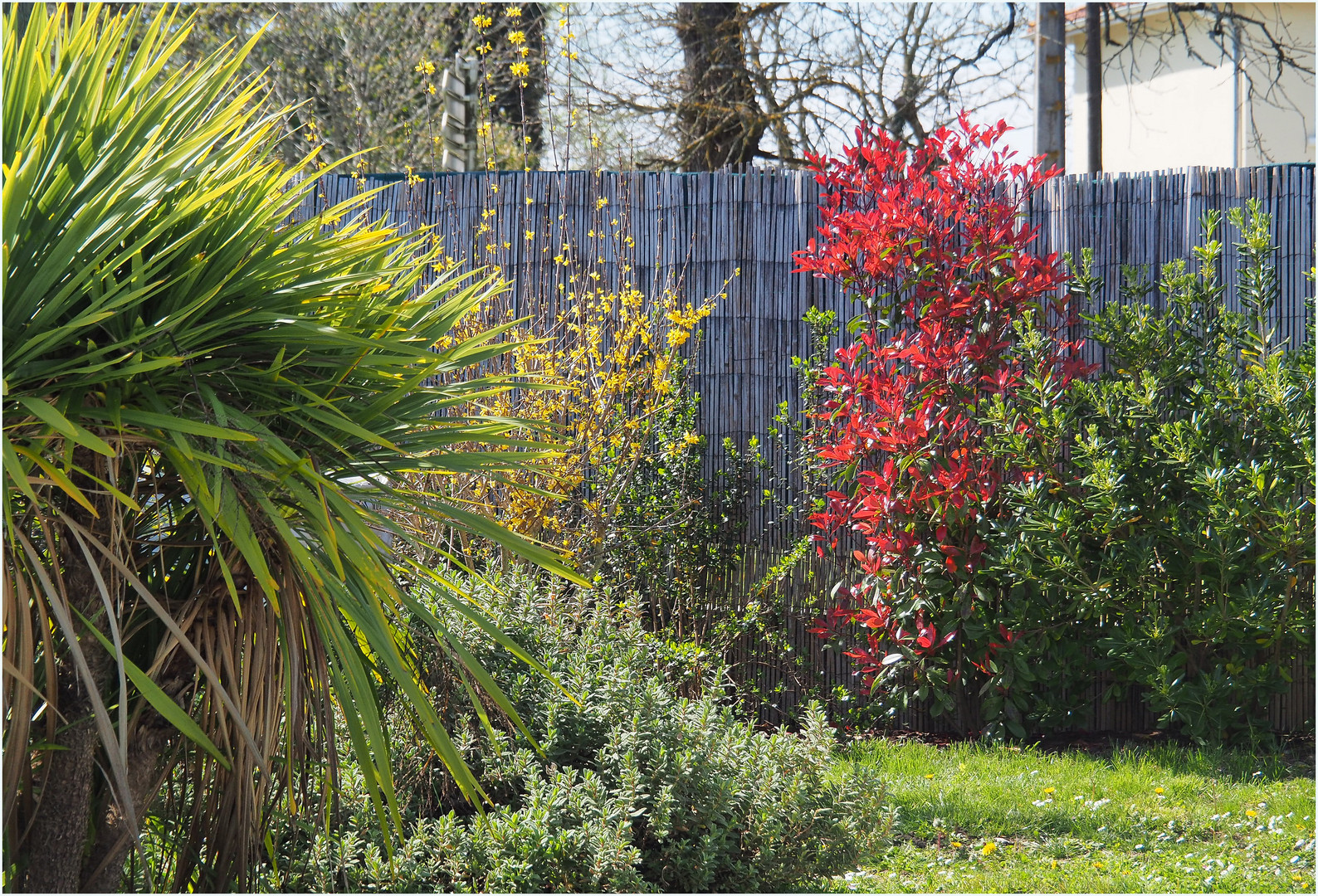 Vue de confinement…détail du jardin