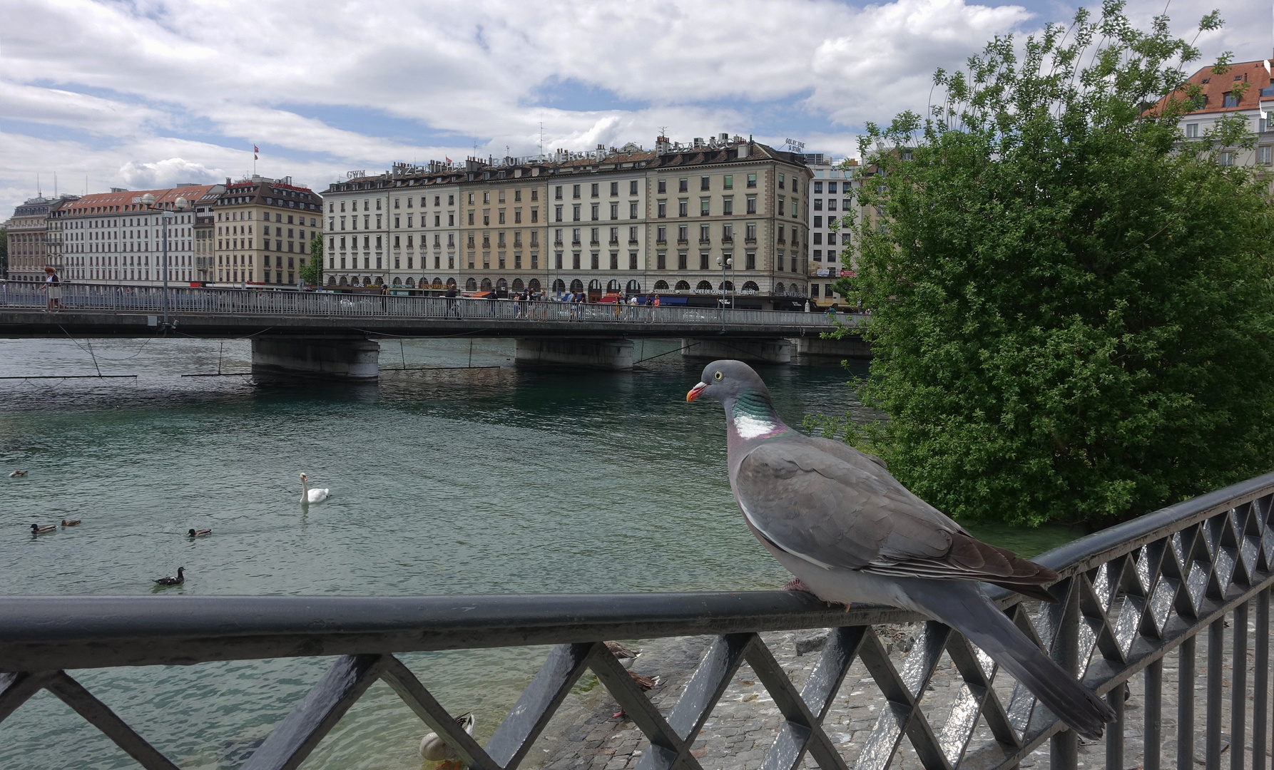 Vue de Genève